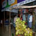 A Fresh Coconut (bangalore_100_1859.jpg) South India, Indische Halbinsel, Asien